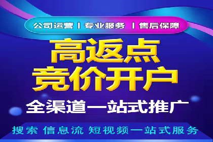 百度推广优化策略案例分析